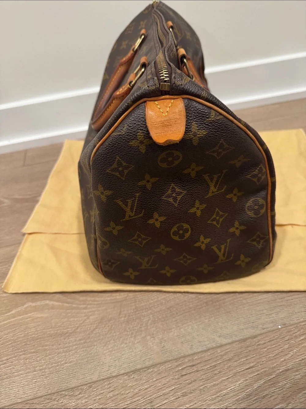 Louis Vuitton classic louis